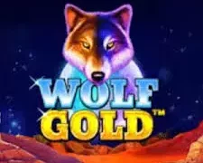 Wolf Gold
