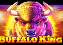 Buffalo King